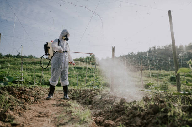 Best Ant Control Services  in Colfax, CA