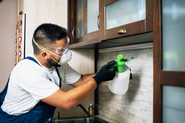 Best Pest Removal Services  in Colfax, CA