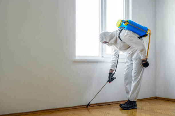 Best Wildlife Control Services  in Colfax, CA