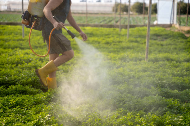 Best Pest Removal Services  in Colfax, CA