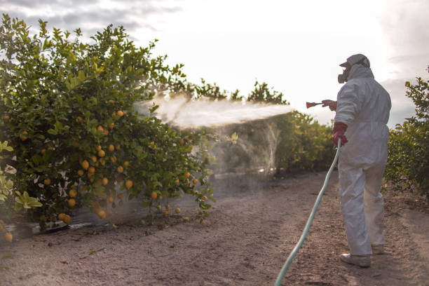 Best Cockroach Control Services  in Colfax, CA
