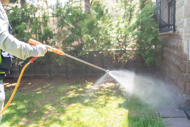 Best Affordable Pest Control Services  in Colfax, CA