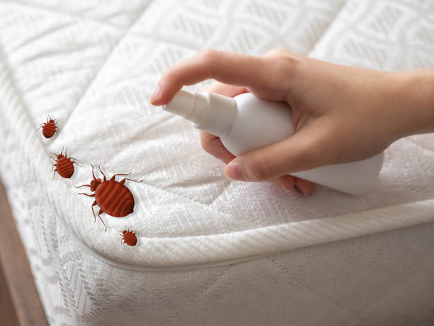 Best Affordable Pest Control Services  in Colfax, CA
